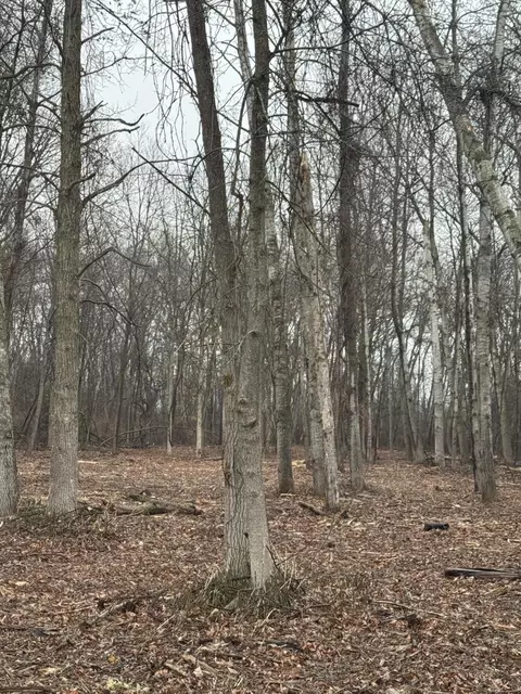 S Main Street, Au Gres, MI 48703