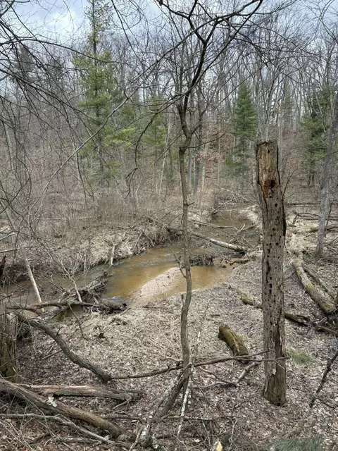 0 Linderman Rd, Holton, MI 49425 photo 3