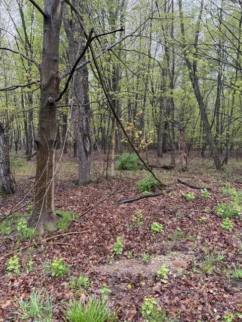 lot2 Christopher Ln, South Haven, MI 49090