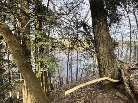 V/l S Teal Lane, Newaygo, MI 49337