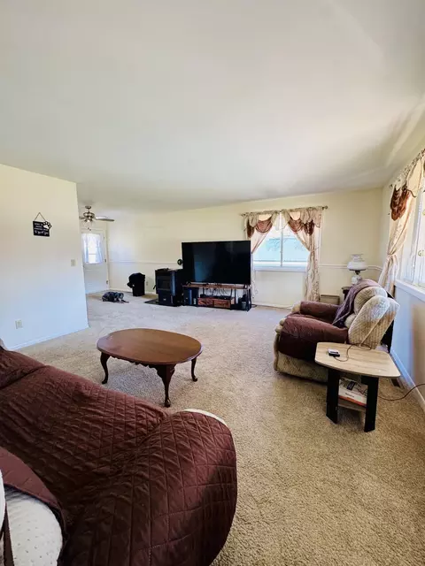 Living - 305 Monroe Ave, Big Rapids, MI 49307 photo 3 of 3
