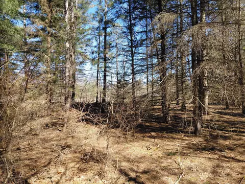 V/l E Pine Hill Avenue, White Cloud, MI 49349 photo 3