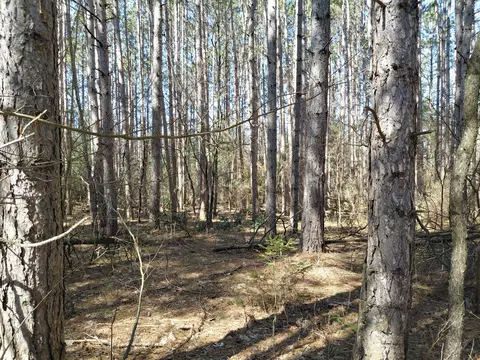 V/l E Pine Hill Avenue, White Cloud, MI 49349