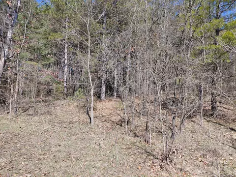 V/l E Pine Hill Avenue, White Cloud, MI 49349 photo 2