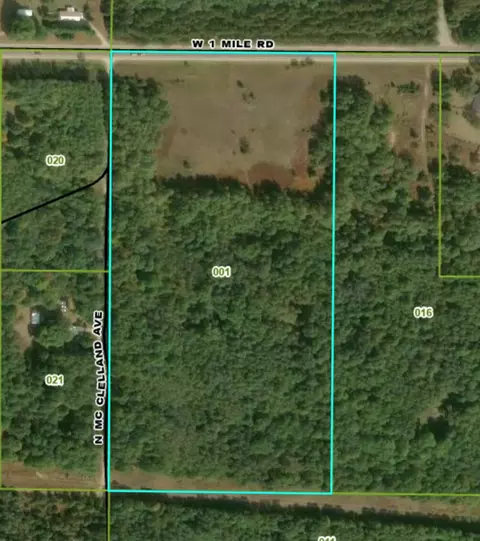 1950 W 1 Mile Rd, White Cloud, MI 49349 photo 2