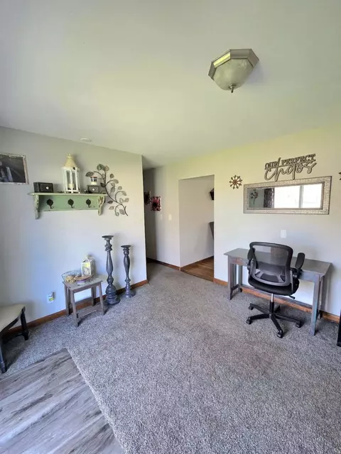 Other - 645 E Lyons St, Lyons, MI 48851 photo 6 of 10