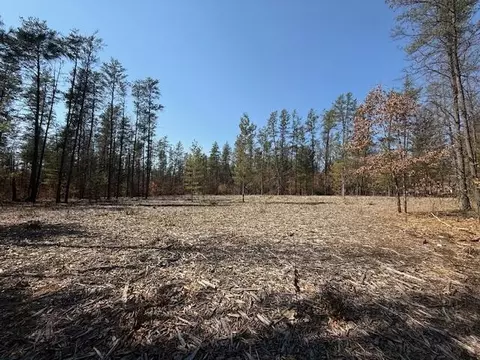 5209 S Nelson Rd, Idlewild, MI 49642