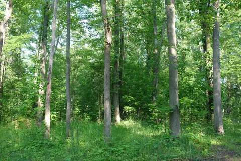 0 Willis Rd, Ypsilanti, MI 48197