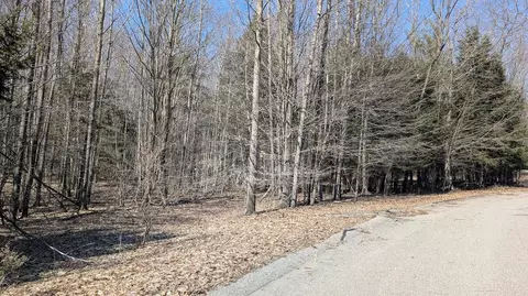 opal ridge drive, Onekama, MI 49675