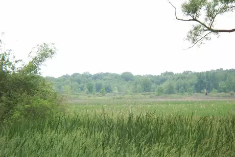 V/l Dew Road, Horton, MI 49246