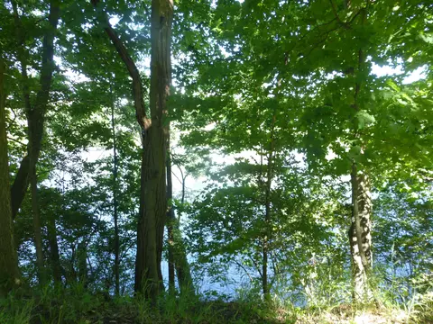 509 N State St, Niles, MI 49120