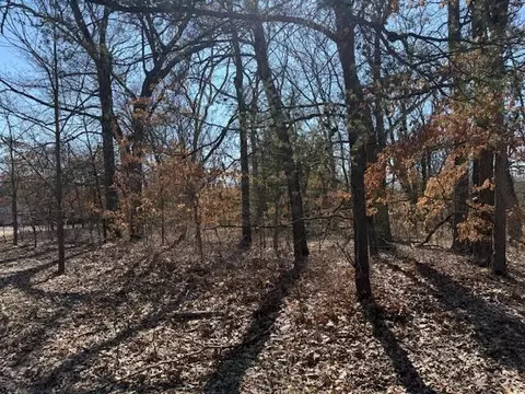 Vl S Arrowhead Trail, Baldwin, MI 49304 photo 2