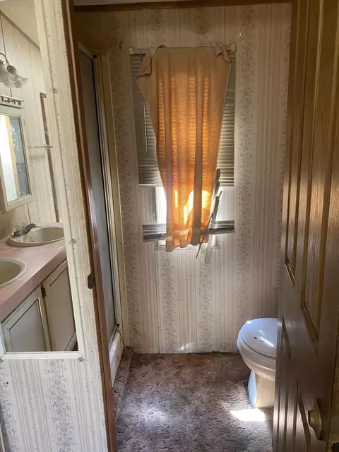 Bath - 11650 Thrush Dr, Lakeview, MI 48850 photo 3 of 4