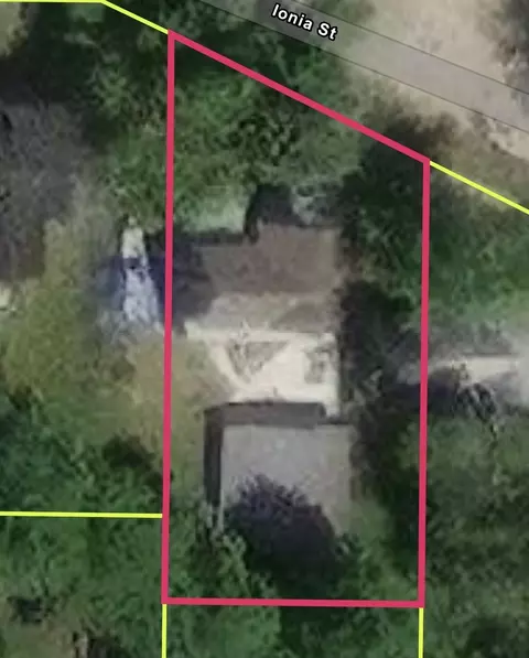 Other - 547 Ionia St, Belding, MI 48809 photo 3 of 7