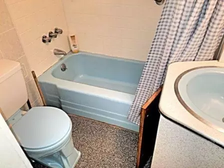 Bath - 8024 W Hemlock Ave, Baldwin, MI 49304 photo 1 of 1
