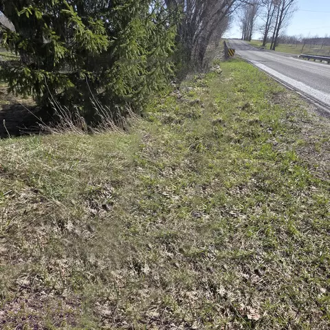 Exterior - 992 E Polk Rd, Hart, MI 49420 photo 11 of 15