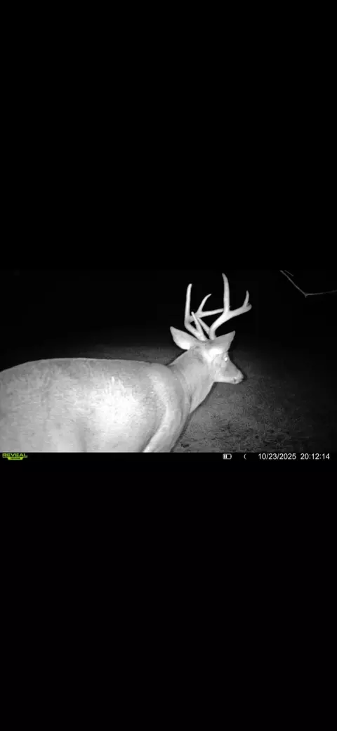 Dewey, Munith, MI 49259 photo 9