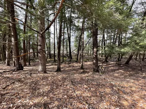 N Croswell Avenue, White Cloud, MI 49349 photo 18