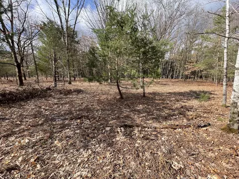 N Croswell Avenue, White Cloud, MI 49349 photo 19