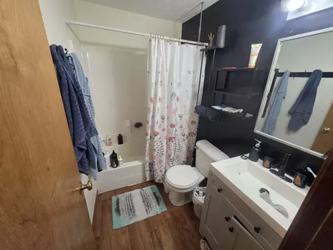 123 W Walnut St, Stanton, MI 48888 photo 4