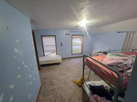 123 W Walnut St, Stanton, MI 48888 photo 8