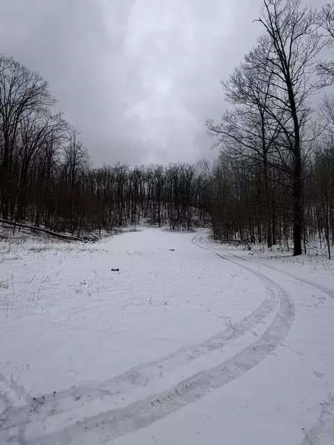 Tower Rd Road, Curran, MI 48728 photo 16