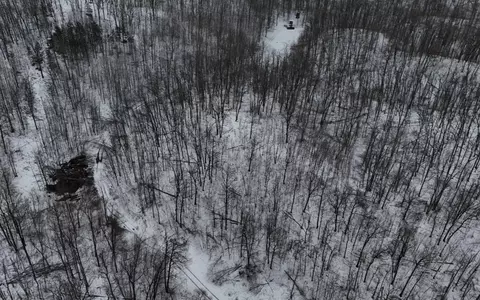 Tower Rd Road, Curran, MI 48728 photo 2