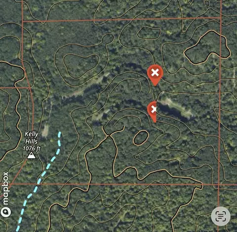 Tower Rd Road, Curran, MI 48728 photo 24