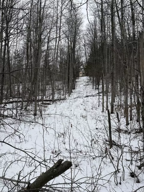 Tower Rd Road, Curran, MI 48728 photo 18