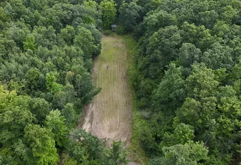 Tower Rd Road, Curran, MI 48728 photo 25