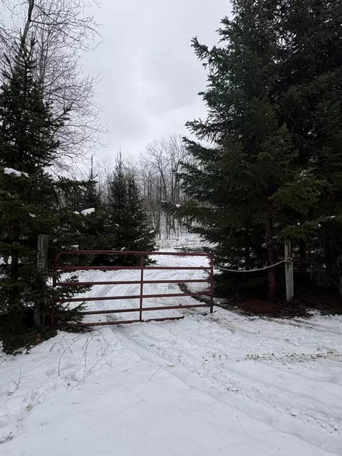 Tower Rd Road, Curran, MI 48728 photo 21