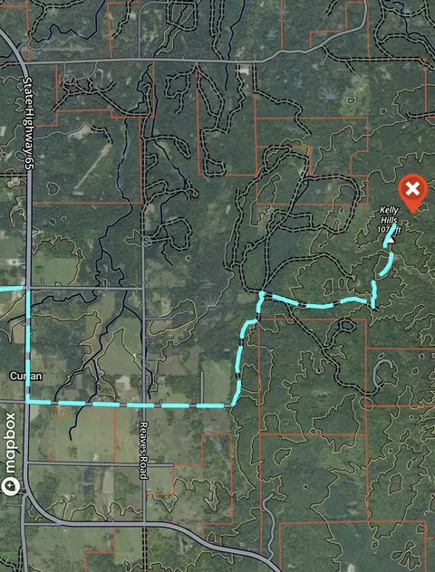 Tower Rd Road, Curran, MI 48728 photo 23