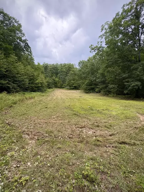 Tower Rd Road, Curran, MI 48728 photo 27