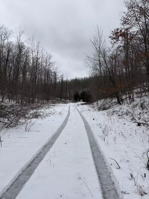 Tower Rd Road, Curran, MI 48728 photo 20