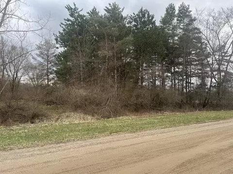 w ranger road #119, Perrinton, MI 48871