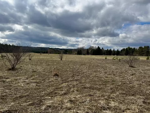 V/l 2 Acre S Saddler Road, Chase, MI 49623