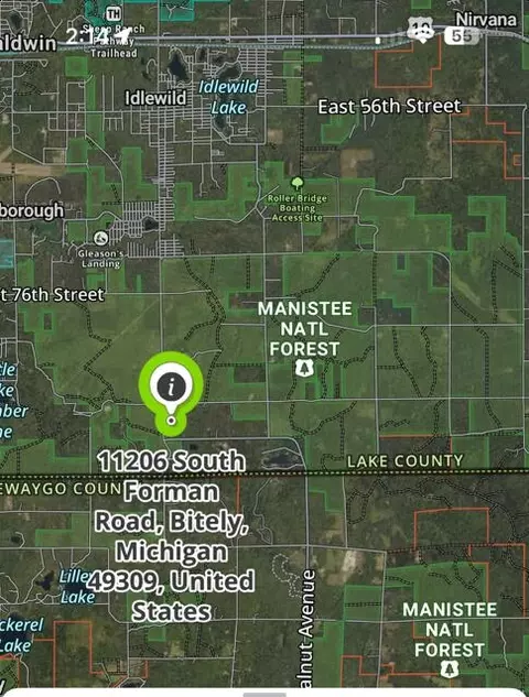 11206 S Forman Rd, Idlewild, MI 49642