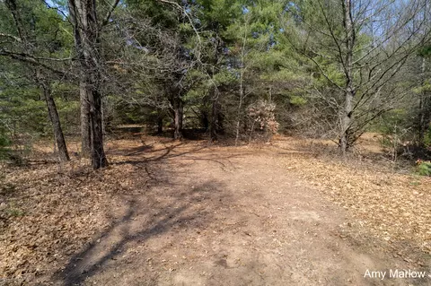 4649 E 28th St, White Cloud, MI 49349 photo 4