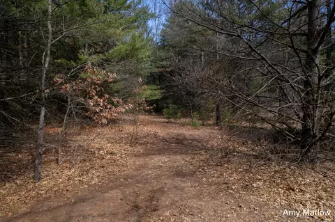 4649 E 28th St, White Cloud, MI 49349 photo 5