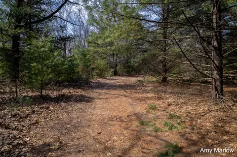 4649 E 28th St, White Cloud, MI 49349 photo 6