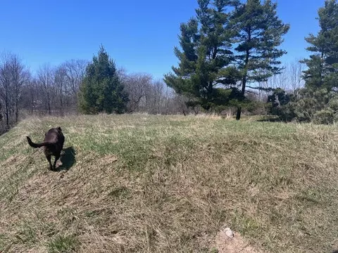 13251 Makinen Rd, Kaleva, MI 49645