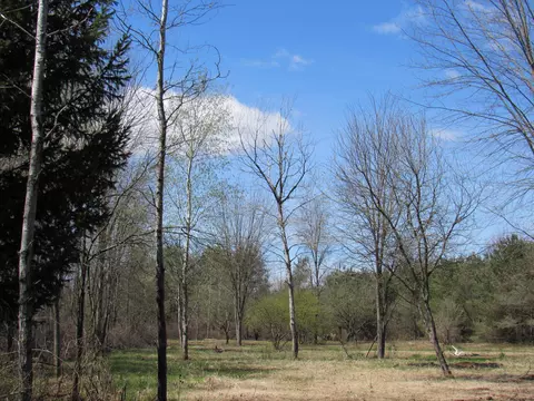 3889 Dalson Rd, Twin Lake, MI 49457