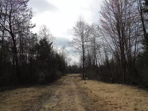 3889 Dalson Rd, Twin Lake, MI 49457