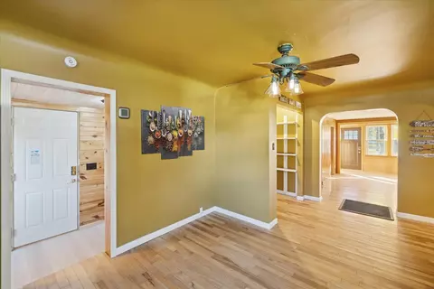 Entry Way - 311 E Pine St, Edmore, MI 48829 photo 2 of 4