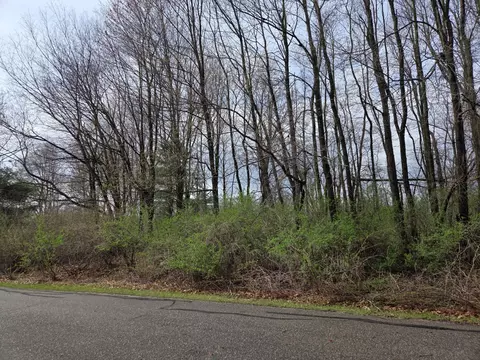 14877 Glastonbury Dr, Gowen, MI 49326