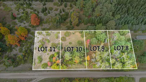 V/l Trout Creek Road, Cheboygan, MI 49721