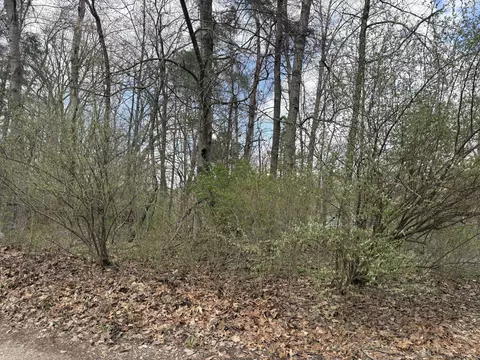 8113 Poplar Dr, Reading, MI 49274