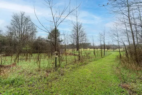 8875 Huff Rd, Bellevue, MI 49021 photo 5