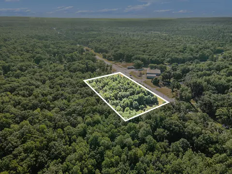 9554 Us 10, Branch, MI 49402