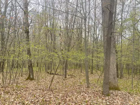 12090 Dubois Dr, Canadian Lakes, MI 49346